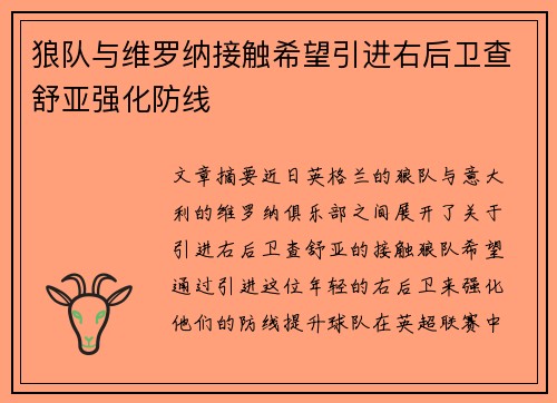 狼队与维罗纳接触希望引进右后卫查舒亚强化防线