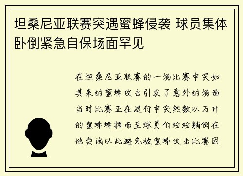 坦桑尼亚联赛突遇蜜蜂侵袭 球员集体卧倒紧急自保场面罕见