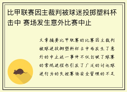 比甲联赛因主裁判被球迷投掷塑料杯击中 赛场发生意外比赛中止